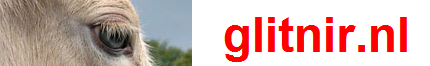 glitnir.nl